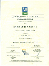ISO9001：2008管理体系认证证书【四川SG胜游官网（集团）有限责任公司】1